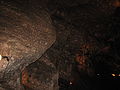 Fosielen in de grot van Han.JPG