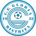 Logo du ACF Gloria 1922 Bistrița