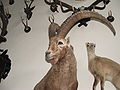 Gressoney-Saint-Jean-Museo-DSCF0823.JPG