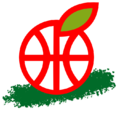 Hapoel Galil Elyon - Logo.png