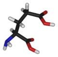 Acide L ou S(+)-glutamique (énantiomère biologique)Acide D ou R(-)-glutamique