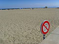 Leucate Plage (Aude), spacious southern beach.jpg