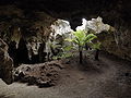 Naracoorte Caves National Park 1.jpg