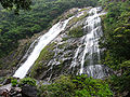 Ooko Falls in Yaku Island.jpg
