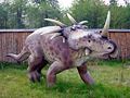 Styracosaurus Baltow 20051003 1315.jpg