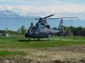 Swiss Dauphin helicopter 3.jpg