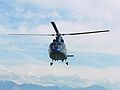 Swiss Dauphin helicopter 5.jpg