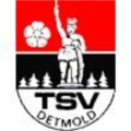 Logo du TSV Detmold