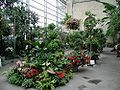 US botanic garden 3.jpg