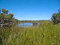 Yanchep National Park 3.jpg