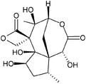 Structure de l'anisatine
