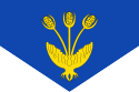 Drapeau