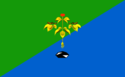 Flag Partizansk.PNG