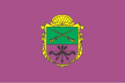 Zaporizza flag.PNG