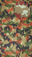 Schéma de camouflage alpenflage