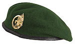 Béret vert de la Légion étrangère.jpg