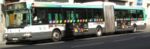 Bus ArticuleParis.jpg