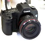 Canon5D-50mm12 mg 0892.jpg