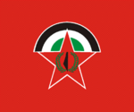 DFLP logo.png