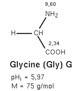 Glycine (acide aminé)