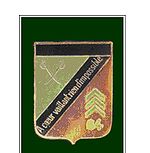 Insigne régimentaire du 64e groupe de reconnaissance divisionnaire (1940).JPG