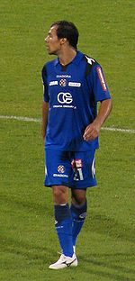 Ivica Vrdoljak