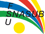 Logo-SNASUB.gif