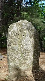 Une pierre levée en schiste d'un mètre de large et 2 mètres de haut