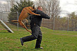 Police dog attack.JPG