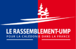 Image illustrative de l'article Le Rassemblement-UMP