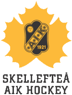 Accéder aux informations sur cette image nommée SkellefteaAIK.gif.