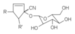 Tetraphyllin-gynocardin.png