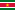 Drapeau : Suriname