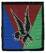 Insigne de la 10e division parachutiste.jpg