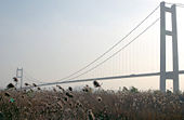 Runyan Bridge 1.jpg