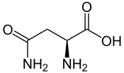 L-Asparagin - L-Asparagine.svg