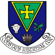 Drapeau de Comté de Roscommon