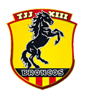 Logo du Toulouse J.J XIII