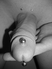 Apadravya & Pubic Surface Genital Piercings.jpg