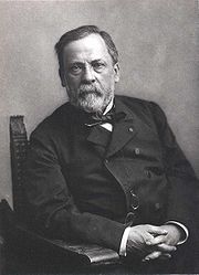 Louis Pasteur, par Nadar