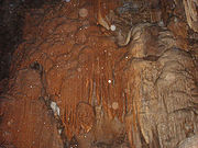 Mammoth Cave National Park 010.jpg