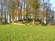 Mound at Polnoon Castle.JPG