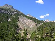 photo de paysage prise dans le parc national de suisse, elle montre la présence de forêt au pied d'une montagne et la modification de la végétation sur les flans en montant vers le sommet, sommet quasiment uniquement rocailleux