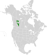 Alberta-British Columbia foothills forests map.svg