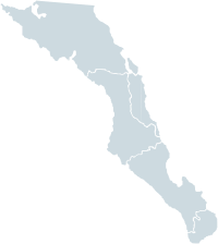 Municipalités de la Basse-Californie-du-Sud