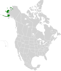 Beringia lowland tundra map.svg
