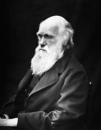 Charles Darwin en 1869, par J. Cameron.