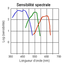 Courbes Sensibilité-Spectrale FilmNégatif.png