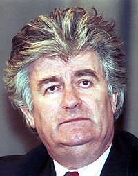 Radovan Karadžić le 3 mars 1994