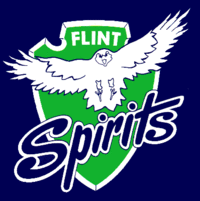 Accéder aux informations sur cette image nommée Flintspirits.gif.